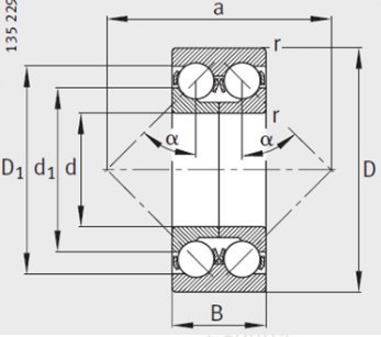 45° contact angle double inner ring structure.png